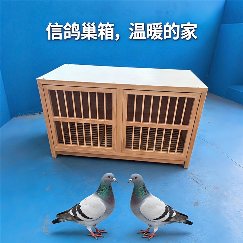 鸽子配对笼巢箱赛鸽2026新款实木质鸽子巢箱繁殖专用笼鸽子巢窝