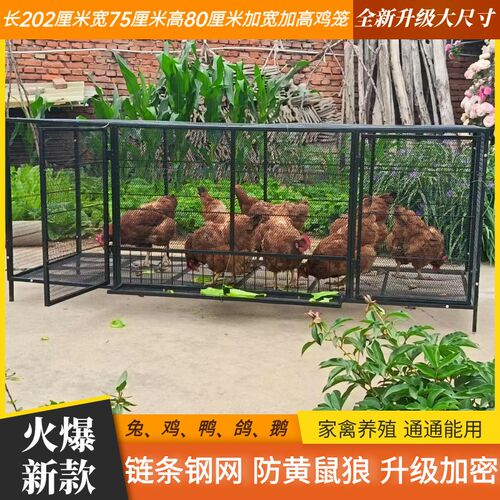 家用养殖铁鸡笼加密加粗防黄鼠狼炼条网包邮厂家直发清仓