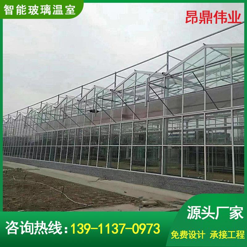 智能玻璃温室大棚骨架蔬菜大棚钢管花卉大棚养殖棚外遮阳连体大棚
