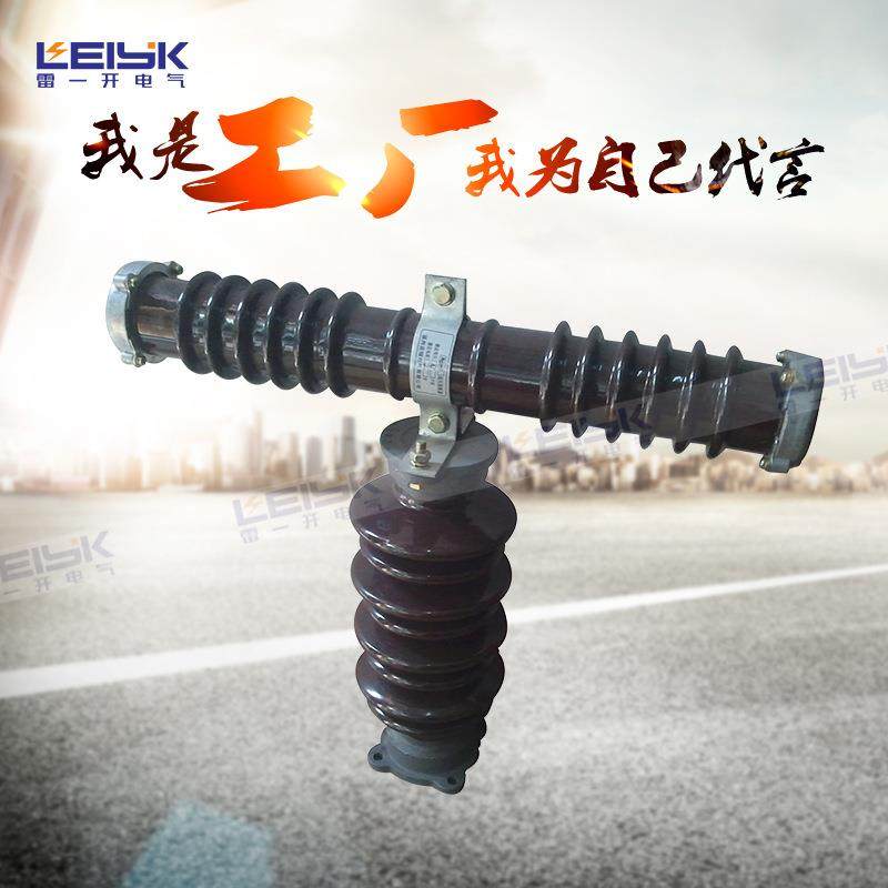 RW9.RW10.RXWO.RWJ-35/0.5-25A 35KV高压跌落式熔断器 保险
