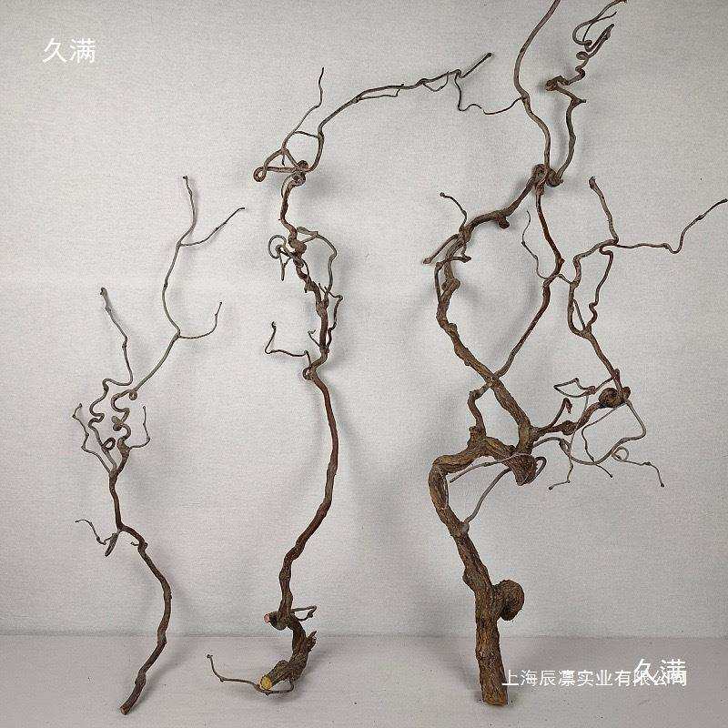禅意干枝摆件龙枣树树干原木居装饰壁挂多分叉造型龙枣枝手感保湿