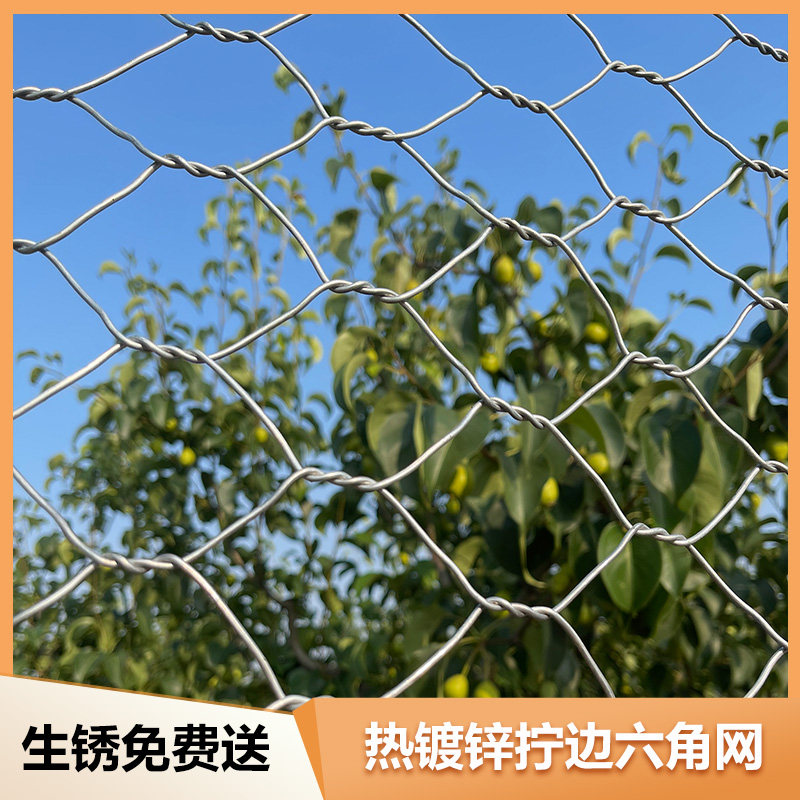 热镀锌铁丝网拧花六角网养殖牛羊猪围栏网鸡鸭防护网钢丝网隔离网