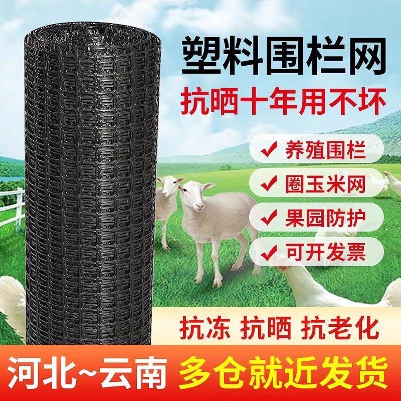 塑料网格养鸡围栏网鱼塘养殖防护栏菜地果园栅栏隔离拦鸡网圈玉米