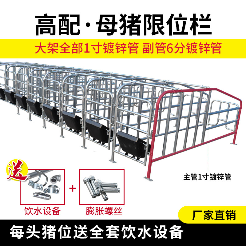 母猪定位栏猪用半限位栏养猪场设备落地订位围栏杆猪圈漏粪板配件