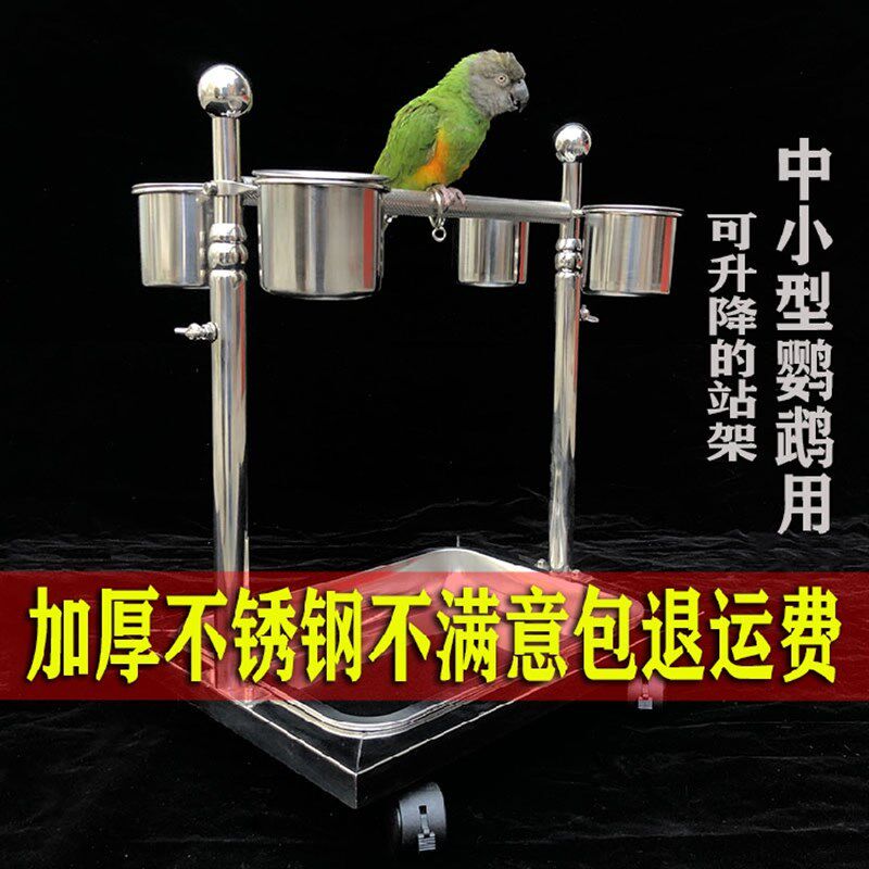 鹦鹉不锈钢站架和尚亚历山大牡丹虎皮小金太阳鸟架玄凤小菲栖息架