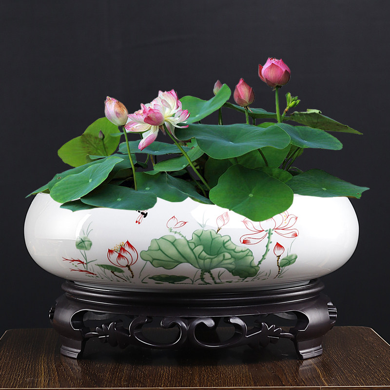哥窑碗莲水仙专用水培花盆陶瓷大口径家用阳台一叶莲水培植物容器