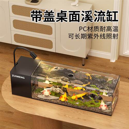 六角恐龙鱼专用缸龟缸鱼缸小型客厅生态造景娃娃鱼黑尾大勾缸龟缸
