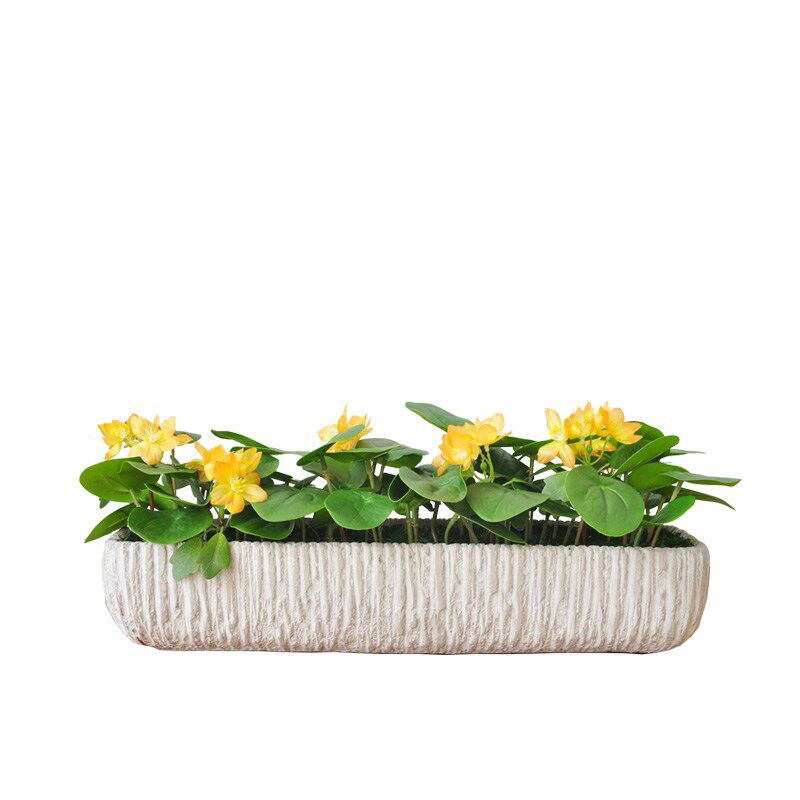 田园风 万年青 水芋叶 植物拼盆仿真绿植桌摆盆景花艺 盆栽art401