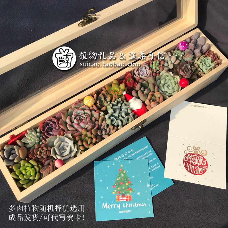多肉植物创意活动礼品生日礼物母亲节日送礼定制领导高档木盒成品