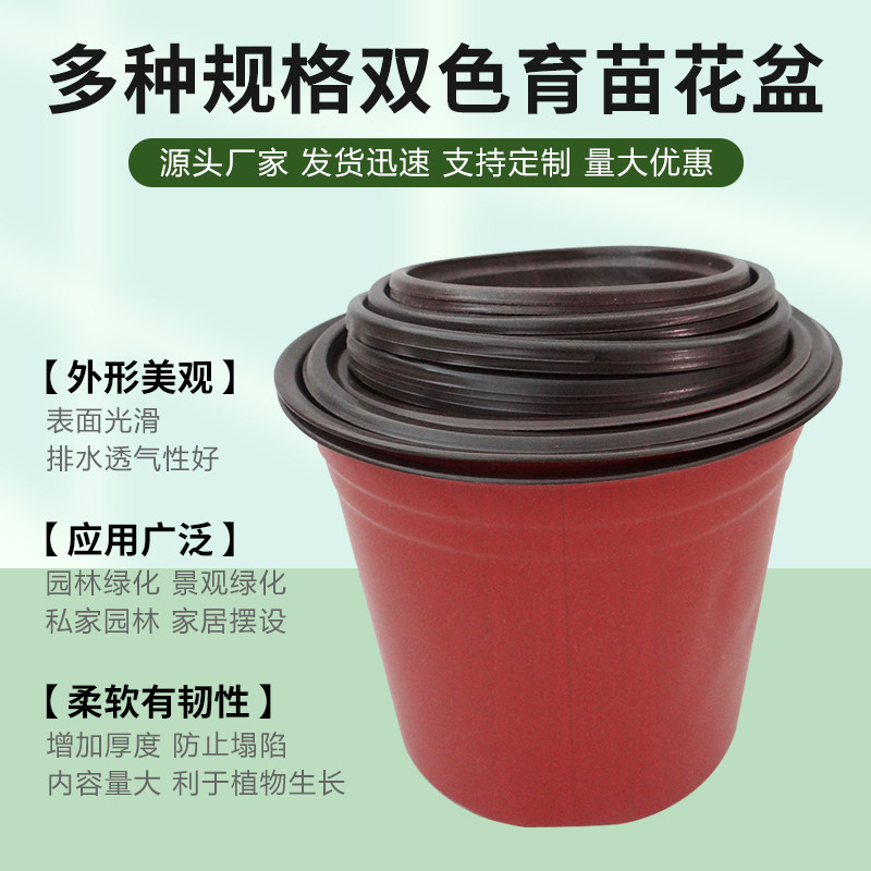 双色盆一次性育苗花盆营养钵多肉扦插种植培育盆外红内黑育苗盆
