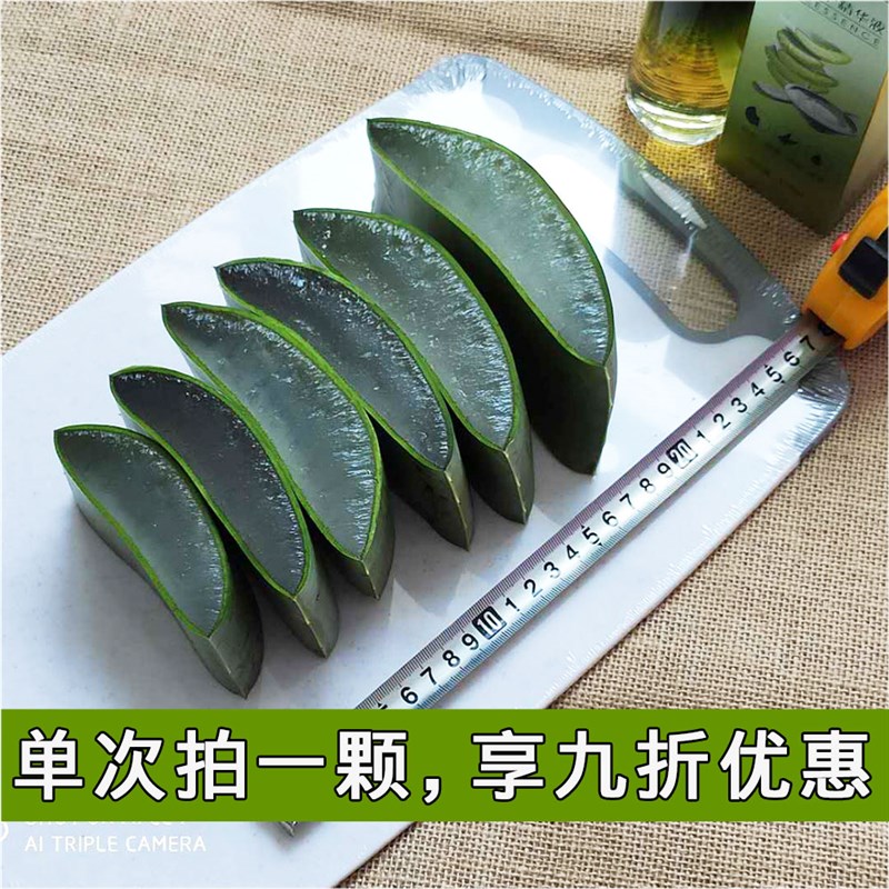 库拉索大芦荟灌肤美容院专用植物新鲜室内盆栽大颗芦荟叶片可敷脸