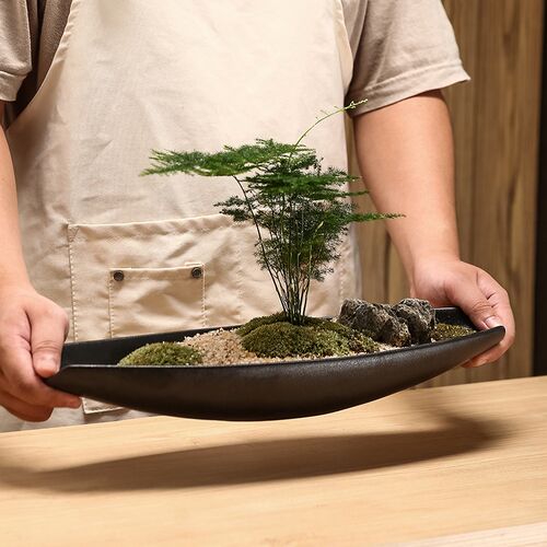 长盆景陶瓷花盆微景观黑皮革釉面北欧简约球藓蕨类植物花卉创意