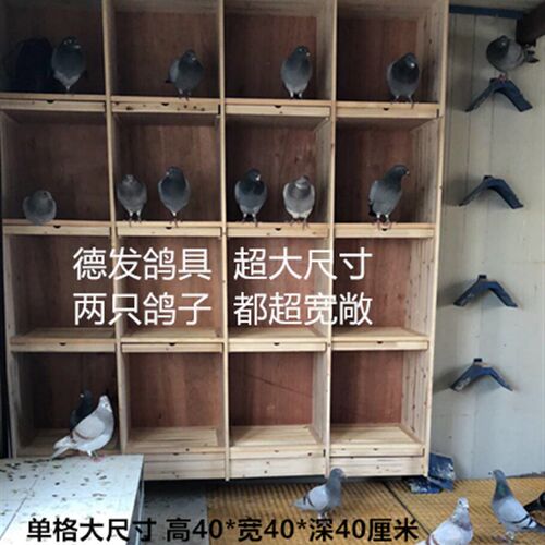 比赛鸽笼 种鸽赛鸽信鸽 巢箱 孵化养殖配对繁殖鸽子专用 抱窝笼子