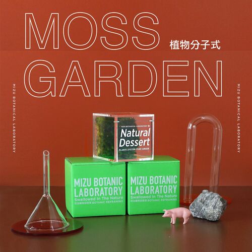花治实验室苔藓植物礼品苔藓微景观创意礼物桌面情绪生态瓶办公室