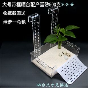 龟台乌龟晒台爬坡高水位浮岛挂壁式龟台深水鱼缸晾晒背台爬坡休息