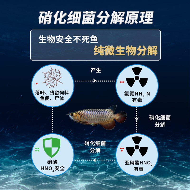 水之国鱼缸硝化细菌 淡水海水专用降氨氮菌