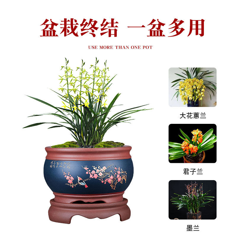 宜兴紫砂花盆高档精品陶瓷大口径带托盘圆形室内兰花花盆盆景盆