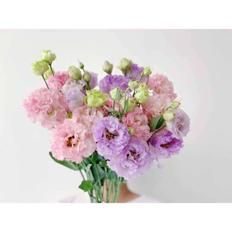 混搭紫色粉色蛋糕洋桔梗鲜花花束家用水养客厅云南速递鲜花百搭直
