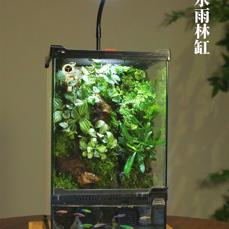 苔藓生态雨林缸水陆缸微景观热带雨林造景缸玻璃养爬宠顺丰包邮