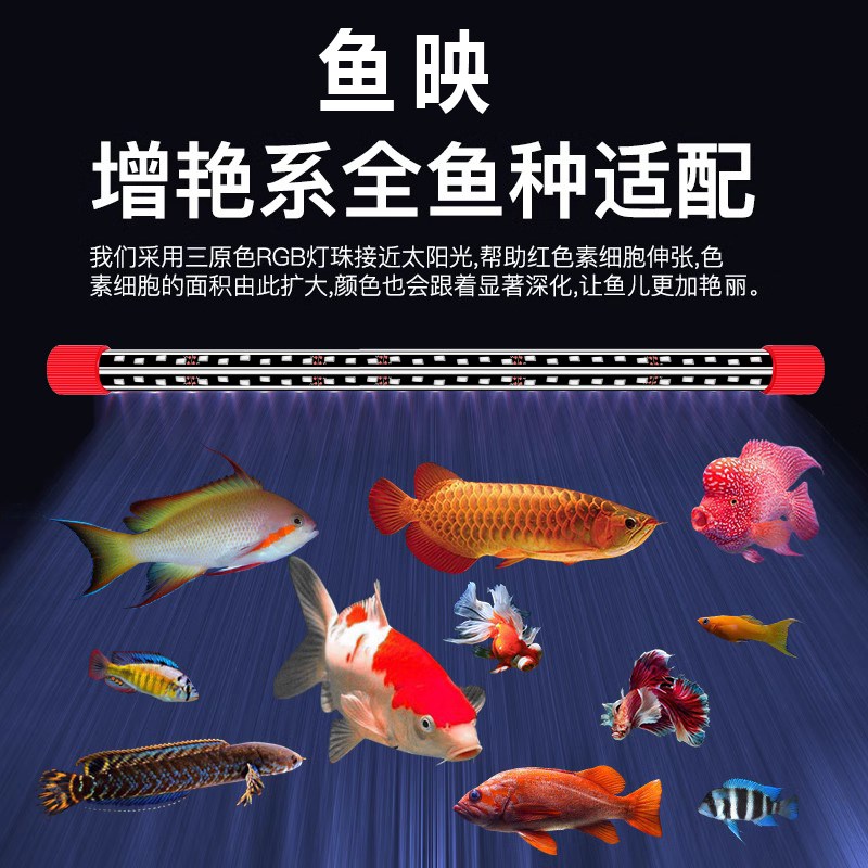 龙鱼增艳灯四维三基色诱色发色灯专用红龙鱼照明led防水增艳神灯