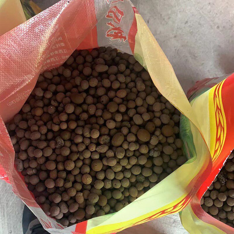 栽培基质铺面石垫底种花园艺绿化多肉陶粒发财树空心蜂窝陶粒拌土