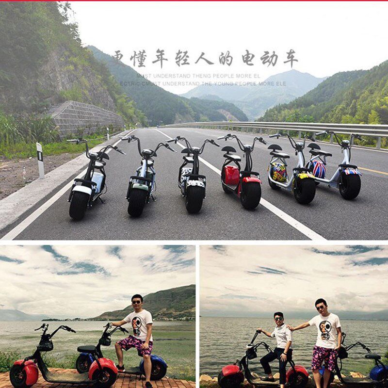 哈雷电动车配件60v1500w2000w控制器锂电池通用60v大容量电瓶