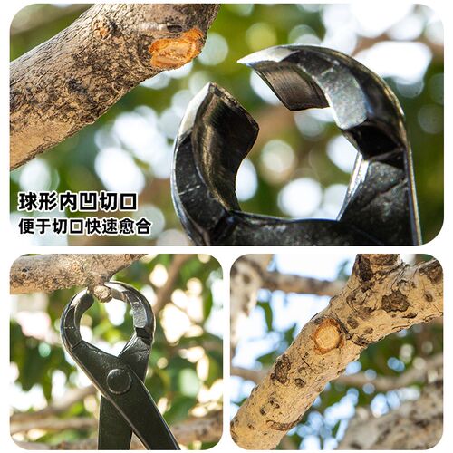 园艺专用盆景工具球节剪修枝剪叶芽剪叉枝剪刀盆景专用工具园艺剪