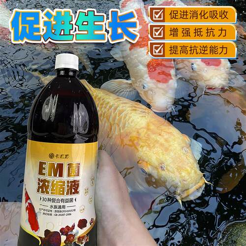 浓缩EM菌原液硝化细菌水族水产养鱼通用鱼池鱼缸调水培菌鱼粮拌料