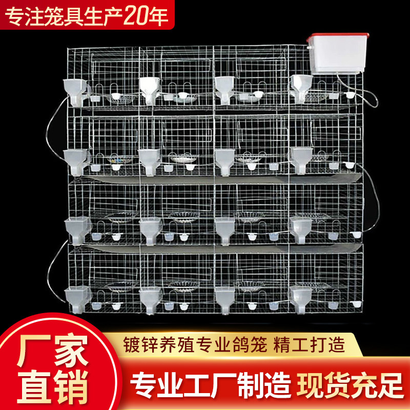 12位16位加粗鸽笼子肉鸽繁殖笼鸽配对笼大号鸽子笼养殖笼用品用具