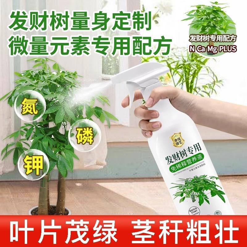 发财树专用营养液免稀释黄叶枯叶烂根肥料专用肥盆栽室内叶面肥
