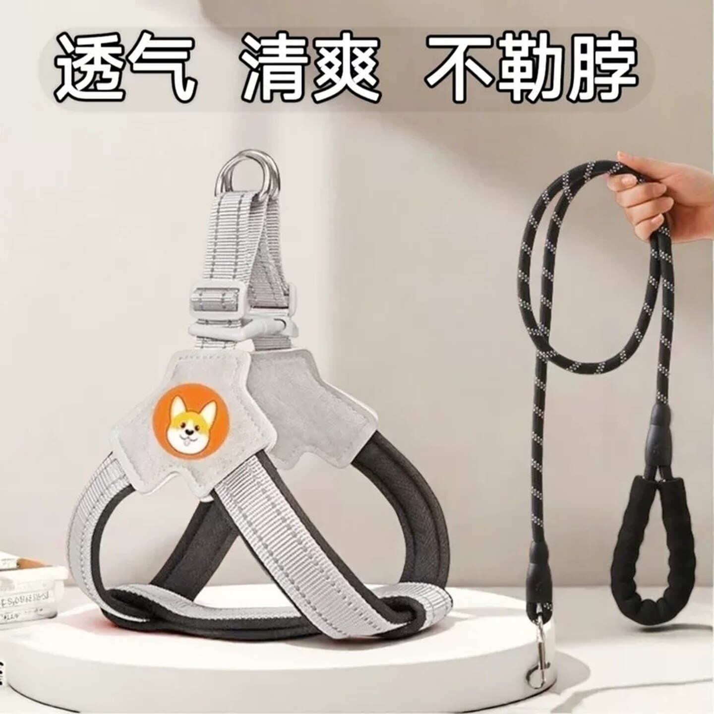 新款狗狗牵引绳胸背带背心式宠物遛狗绳中小型柴犬法斗柯基吉娃娃
