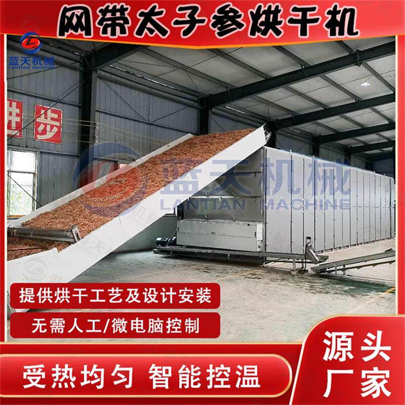 太子参烘干机 全自动孩儿参童参四叶参多层连续式米参烘干生产线