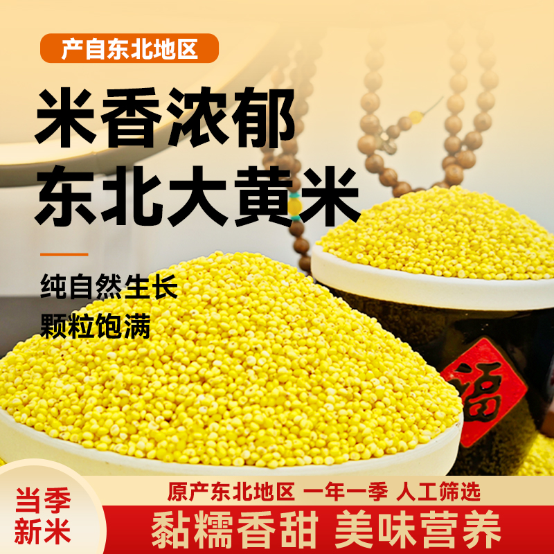 农家自产正宗大黄米当季新米粗粮黄米饭粘米营养五谷杂粮饭主食