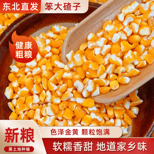 东北笨大碴子1斤渣子玉米粥玉米粒黏农家自产笨碴子黑龙江粥原料