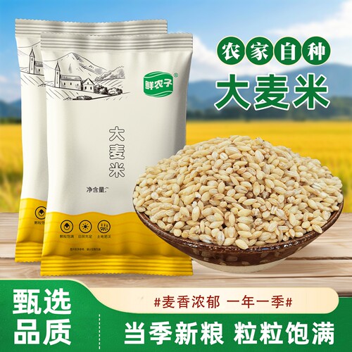 东北大麦米麦仁米250g新的去皮大麦仁麦粒麦米麦子糁煮粥煲汤