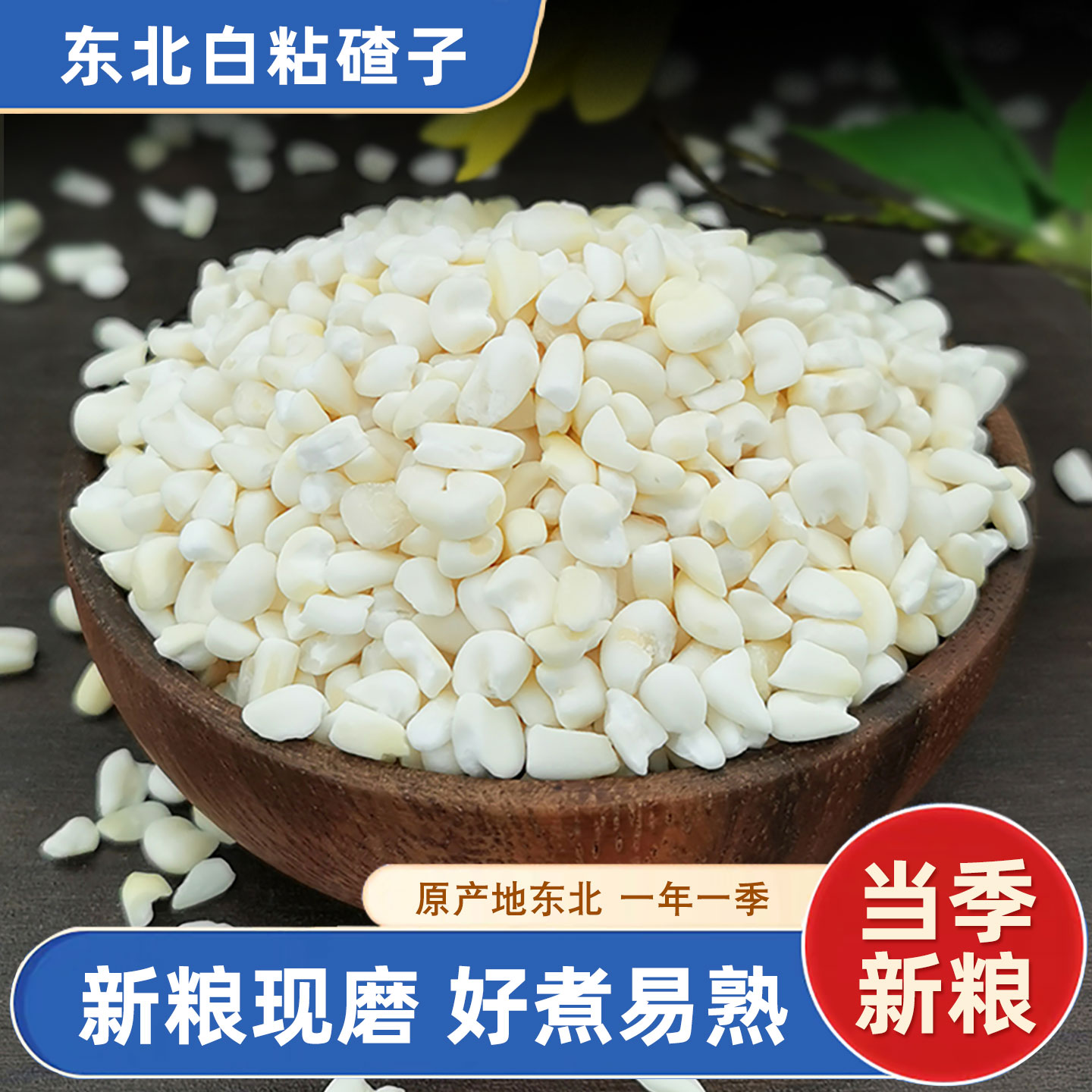 东北白粘玉米大碴子农家粗粮笨苞米茬子五谷杂粮当季新粮煮大茬粥