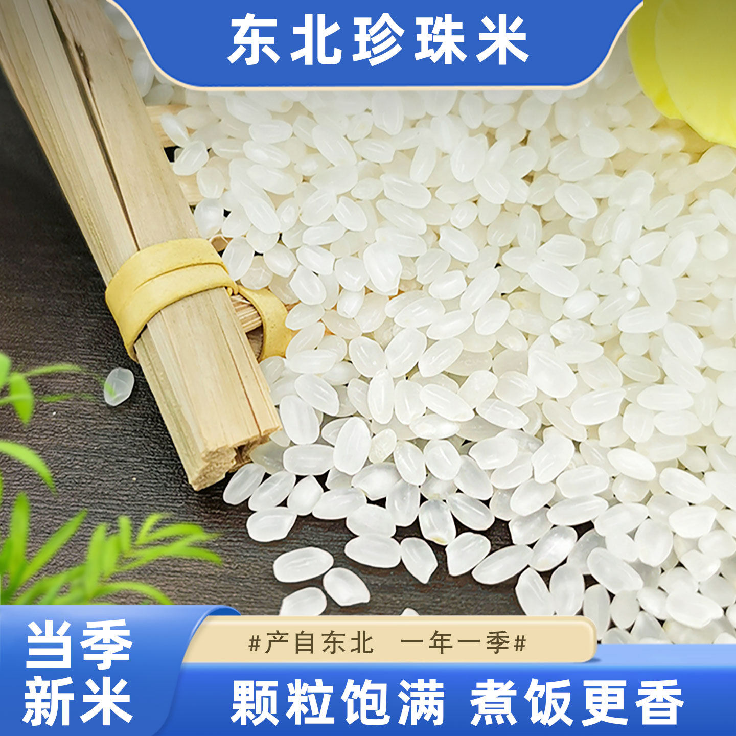 正宗东北大米珍珠米农家当季米家用煮饭煲粥研磨圆粒香大米小包装