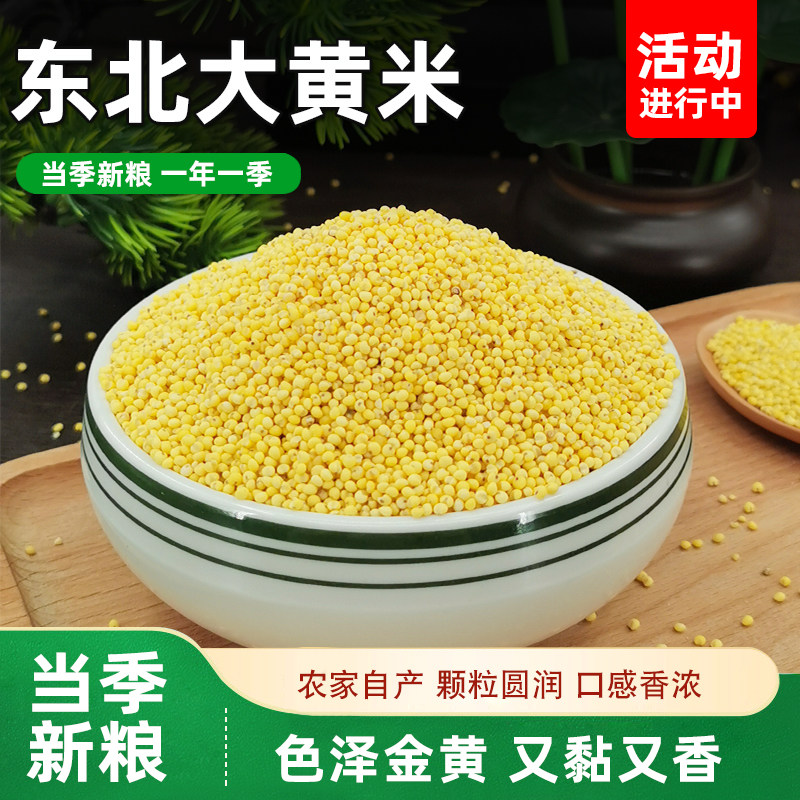 大黄米农家当季新米粘米包汤圆粽子黄米饭糯米五谷杂粮粗粮小包装