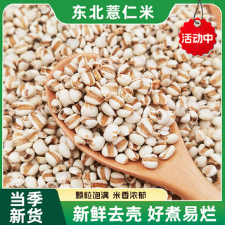 农家薏仁米新货五谷杂粮薏米仁煲粥粗粮米味清香小薏仁米500g装