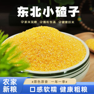 东北小碴子新货玉米糁玉米渣农家五谷杂粮细笨玉米碎苞米碴子粥