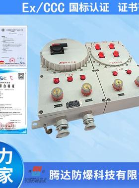 挂式防爆配电箱防爆配电箱iiic-ExdIICT4动力配电箱隔爆增安复合