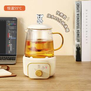 迷你养生杯壶可烧开水55度恒温杯礼盒装办公室煮茶热牛奶创意礼品