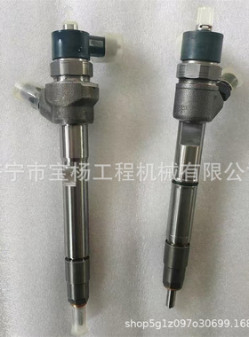 0445110482共轨喷油器0433172055 0455110603喷油嘴总成