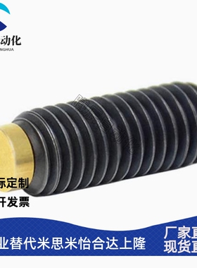 TDA31不锈钢内六角止动螺丝机米SBCPS3/4/5-5/6/8/10/12/16/20/25