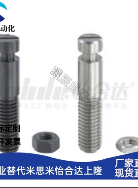 拉伸弹簧支柱 一字槽带环槽半牙型 FFG01 FFG11 E-FFG01 E-FFG11