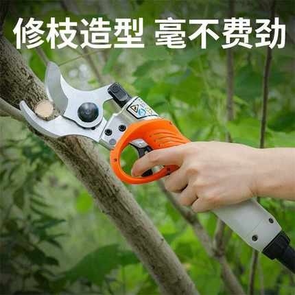 电动剪刀果树充电式电动修枝剪园林修剪粗枝果树修枝加长锂电剪