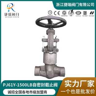 1500LB焊接自密封闸阀PJ61H 实力厂家直供锻钢PZ61H 2500LB截止阀