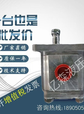 HESPER赫思博齿轮泵HA3-42.6/19.5/22.5/24.5/28/32.7-B311-C油泵