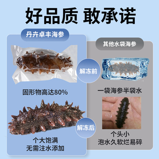 【5星级即食海参1500g】丹卉桌丰大连辽刺参官方店野生海叁送礼盒