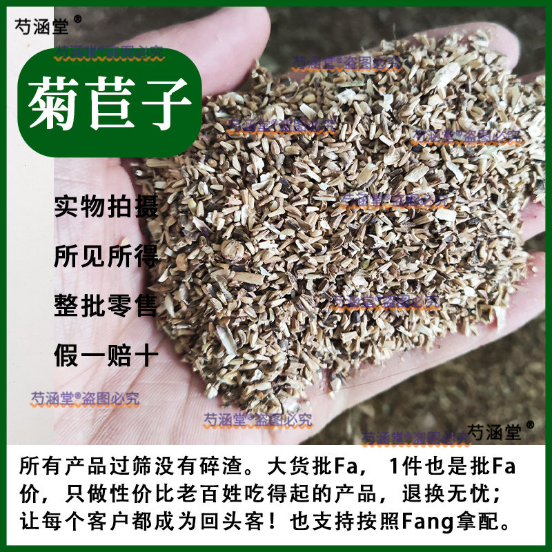 菊苣根籽菊苣子新货野生正品 苦苣茶中药材菊苣根的籽果实种子